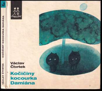 Kočičiny kocourka Damiána