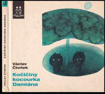 Kočičiny kocourka Damiána