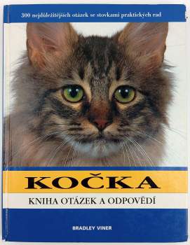 Kočka