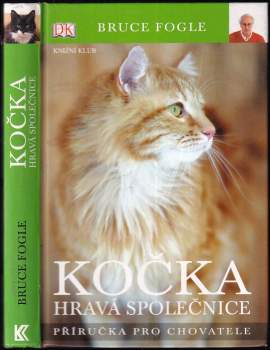 Kočka