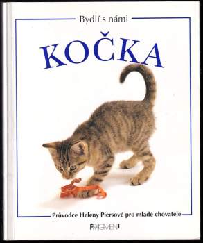 Kočka