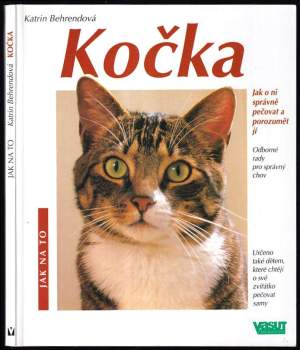 Kočka
