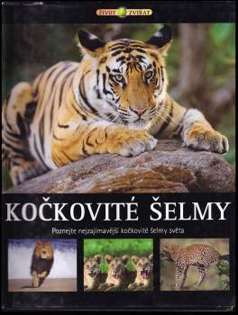 Kočkovité šelmy