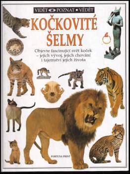 Kočkovité šelmy