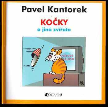 Kočky