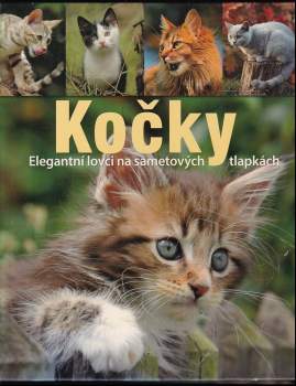 Kočky : elegantní lovci na sametových tlapkách
