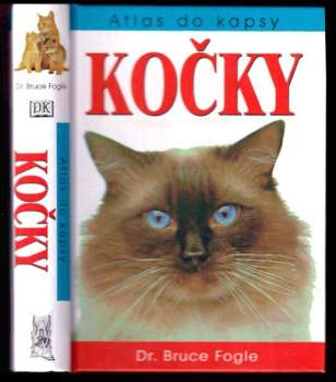Kočky