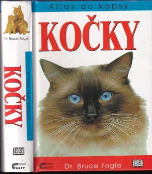 Kočky