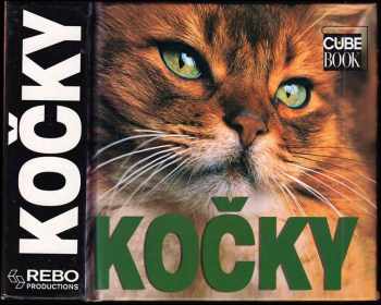Kočky
