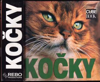 Kočky
