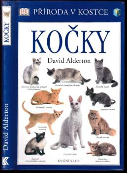 Kočky
