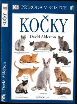 Kočky