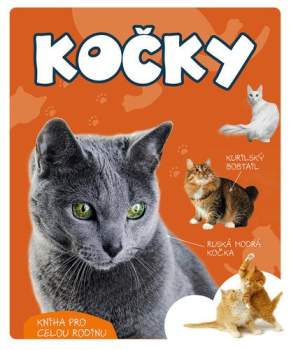 Marcin Gorazdowski,: Kočky