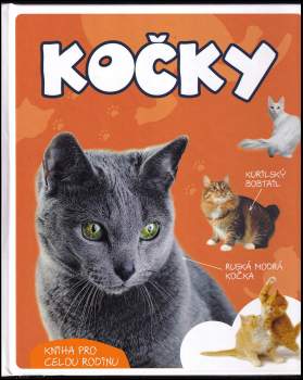 Kočky