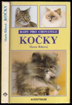 Kočky