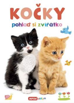 Kočky