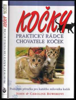 Kočky