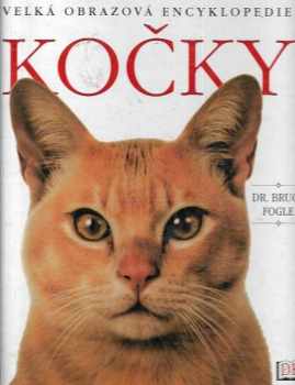 Kočky