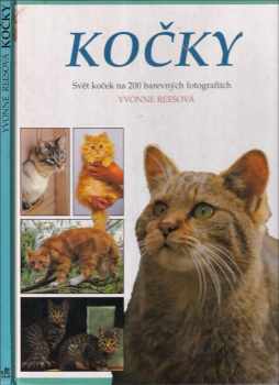 Kočky - Yvonne Rees (1996, Svojtka a Vašut) - ID: 505524