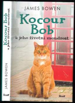 Kocour Bob a jeho životní moudrost