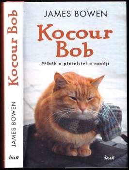 Kocour Bob