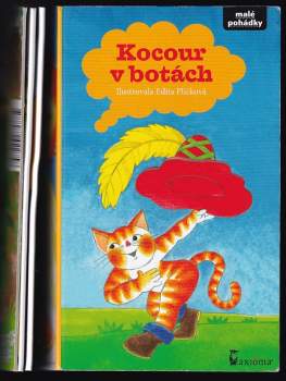 Kocour v botách