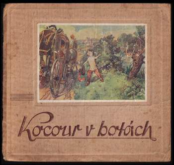 Kocour v botách