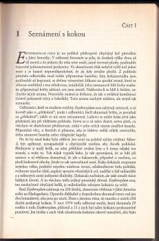 Dominic Streatfeild: Kokain