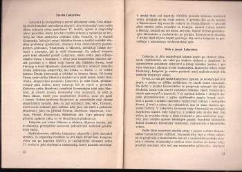 Bohuš Balajka: Komentář k Labyrintu světa a ráji srdce