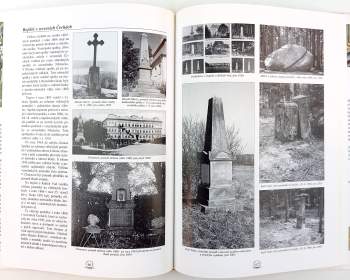 Radek Teichman: Komitét 1866