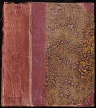 Michał Bałucki: Jen výš! - román