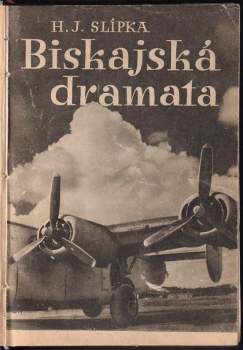 Václav Robert Bozděch: Nepřítel v dohledu
