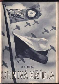 Václav Robert Bozděch: Nepřítel v dohledu