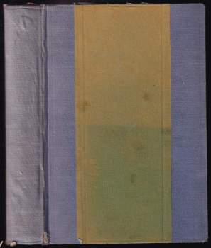 Nepřítel v dohledu