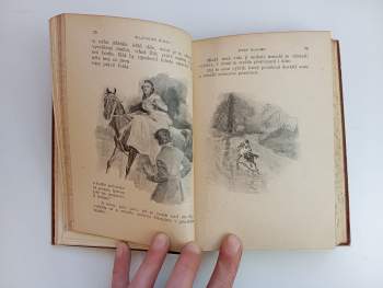 Alexandre Dumas: KOMPLET Alexandre Dumas 16X Josef Balsamo I. - V. díl + Hraběnka de Charny I. - VI. + Dobytí Bastilly I. - II. díl + Královnin náhrdelník I. - III. díl