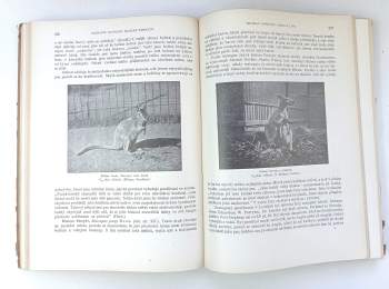 Alfred Brehm: KOMPLET Brehmův život zvířat
