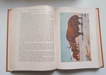 Alfred Brehm: KOMPLET Brehmův život zvířat