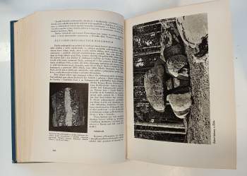 F Slavík: Československá vlastivěda