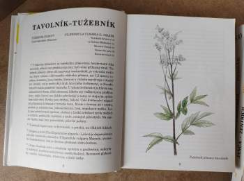 Jiří Janča: Herbář léčivých rostlin