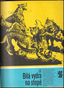 Josef Kutík: KOMPLET Josef Kutík 7X Bílá vydra + Návrat Bílé vydry + Bílá vydra na stopě + Bílá vydra v záloze + Bílá vydra na vlčí stezce + Bílá vydra u Bobří hráze + Bílá vydra na hranici lesů