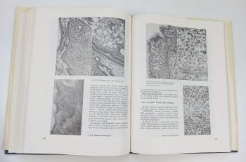 Blahoslav Bednář: KOMPLET Patologie: Díl 1-3