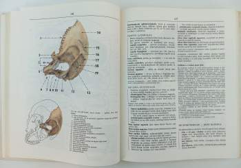 Radomír Čihák: KOMPLET Radomír Čihák 2X Anatomie + Anatomie