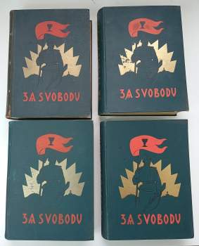 Za svobodu - Česká družina
