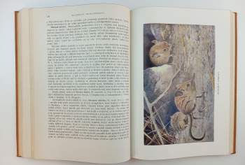 Alfred Brehm: Brehmův Život zvířat - Ptáci 3