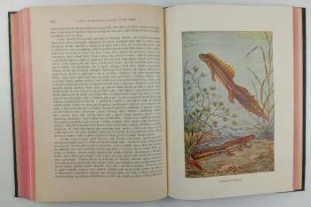 Alfred Brehm: Brehmův život zvířat