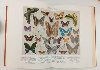 Alfred Brehm: Brehmův život zvířat