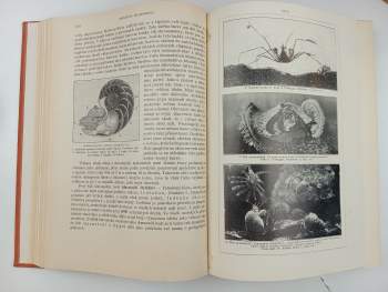 Alfred Brehm: Brehmův život zvířat