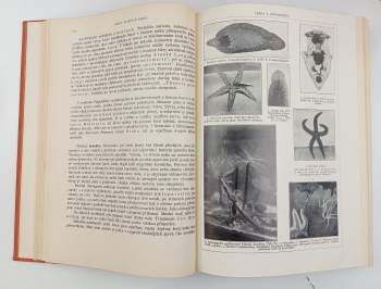 Alfred Brehm: Brehmův život zvířat