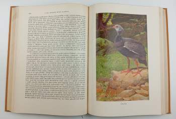 Alfred Brehm: KOMPLETNÍ Brehmův život zvířat I. díl Bezobratlí + II. Ryby, Obojživelníci, Plazi (2 svazky) + III. Ptáci (4 svazky) + IV. Ssavci (4 svazky)
