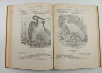 Alfred Brehm: KOMPLETNÍ Brehmův život zvířat I. díl Bezobratlí + II. Ryby, Obojživelníci, Plazi (2 svazky) + III. Ptáci (4 svazky) + IV. Ssavci (4 svazky)